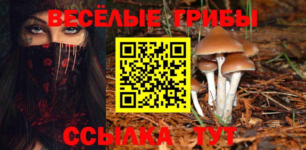 как найти закладки  Псилоцибиновые грибы Psilocybe  Вход с VPN  Урус-Мартан 