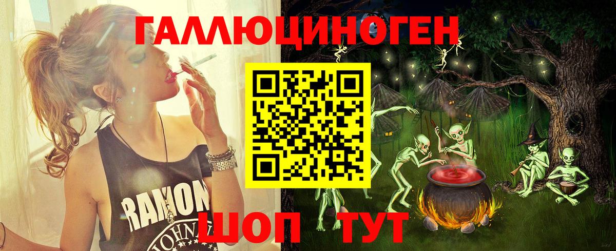 Галлюциногенные грибы Psilocybe Урус-Мартан